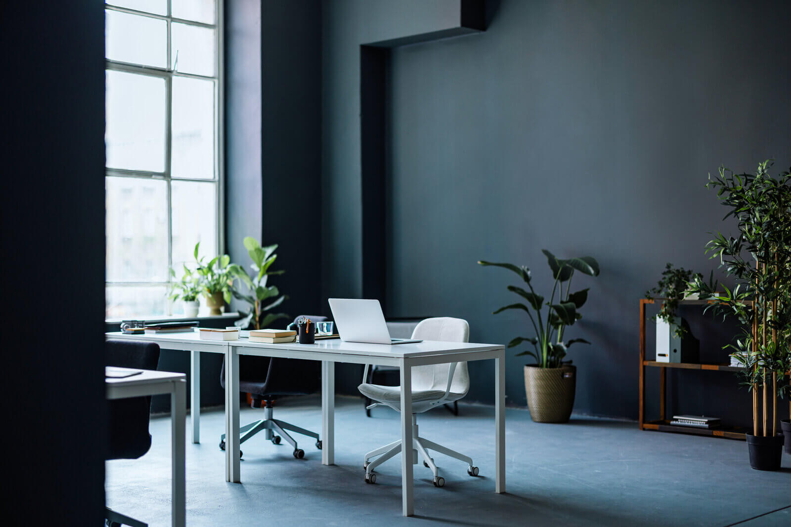 Clean workspace with laptop and neatly arranged office supplies on a desk