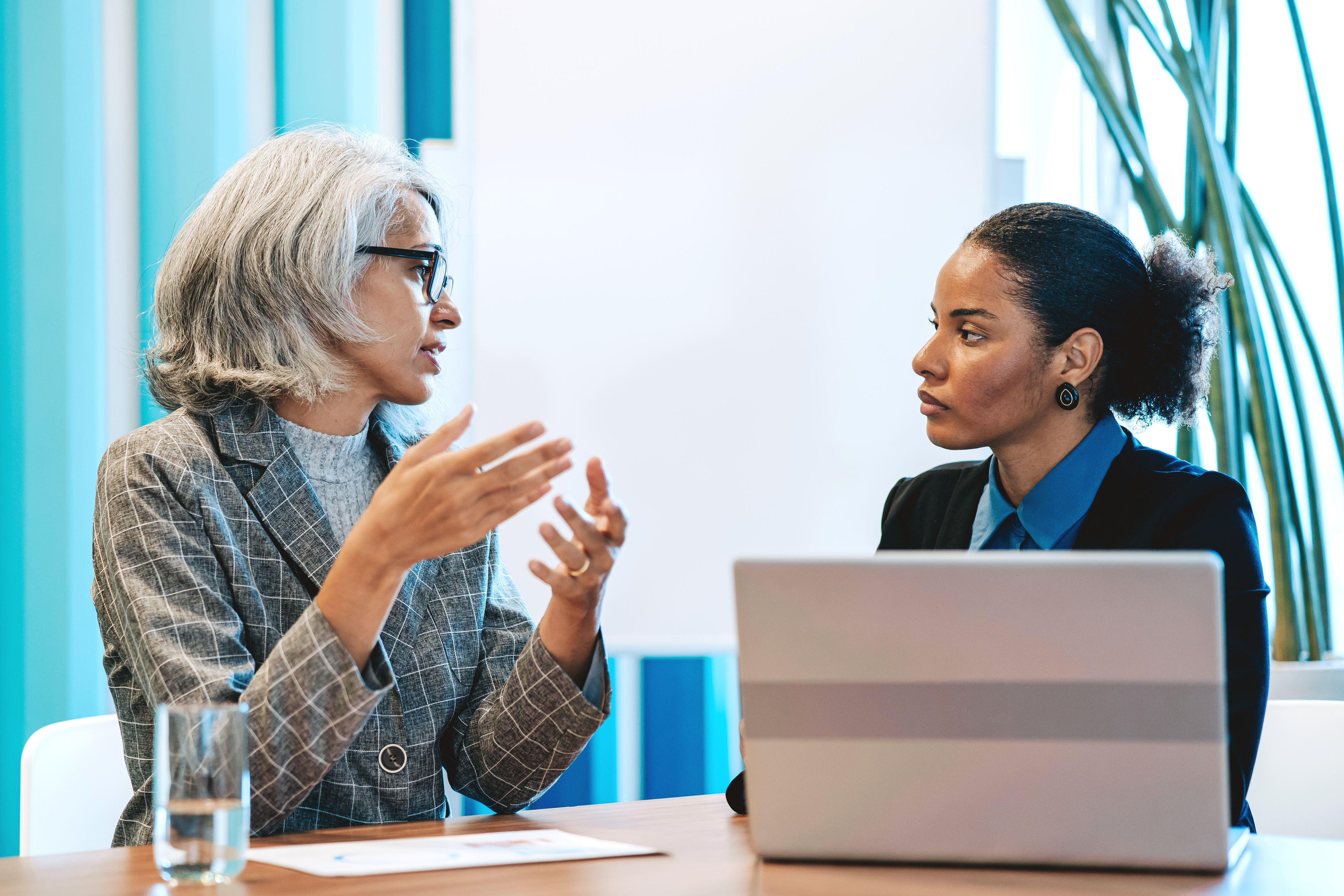 Portrait of two businesswomen talking in meeting room